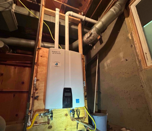 Tankless Water Heater